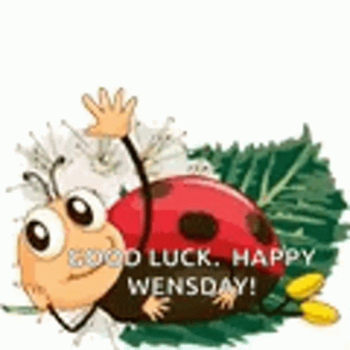 Ladybug Waving Good Luck Happy Wednesday GIF