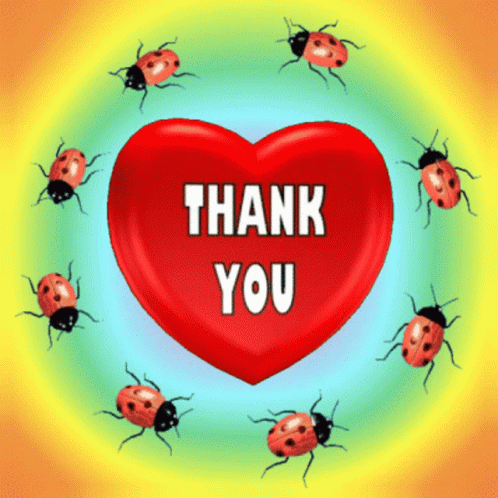Ladybugs Surround Heart Saying Thank You