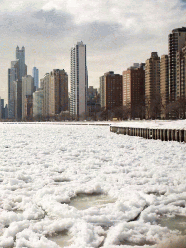 Lake Michigan Chicago GIF