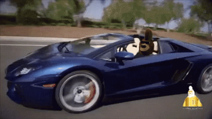 Lamborghini Party Bear Driving GIF