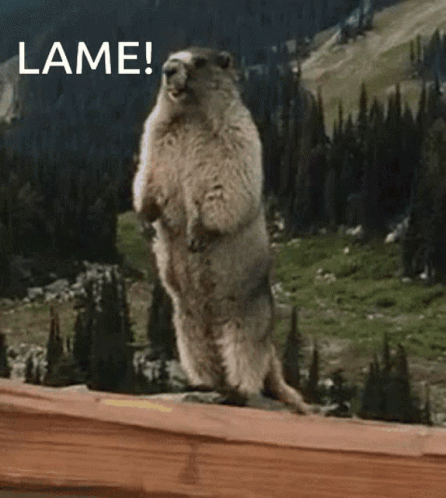 Lame Gopher Standing Up GIF
