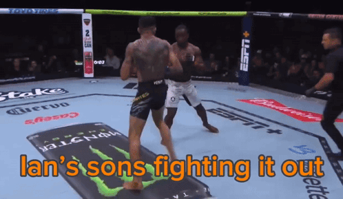 Lan's Sons Boxing Match Fighting It Out GIF