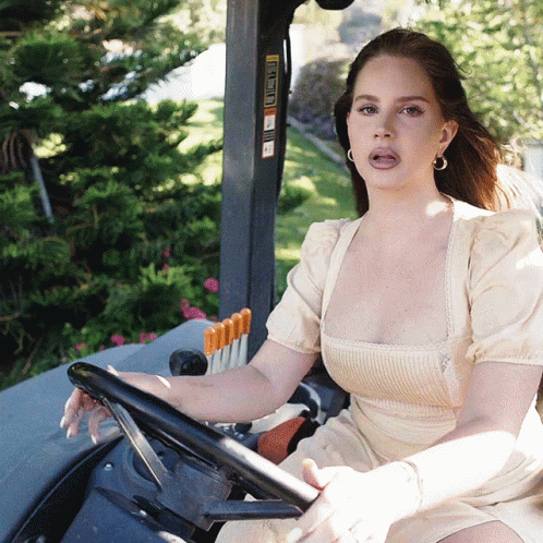 Lana Del Rey Driving GIF