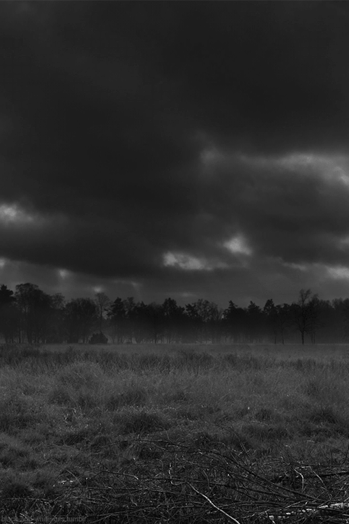 Landscape Black White Timelapse GIF