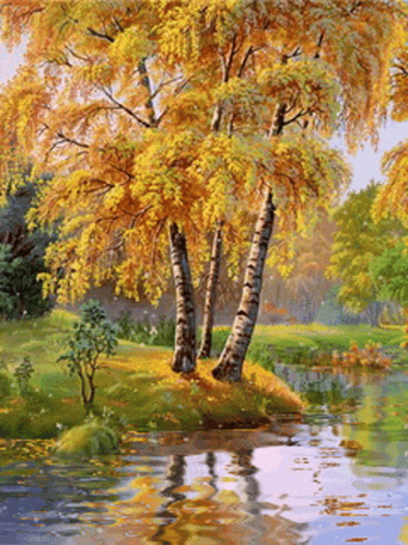Landscape Calm Lake Scenery GIF
