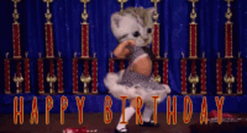 Landscape Funny Kitty Head Happy Birthday Dancing GIF