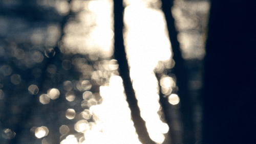 Landscape Lake Bokeh Lights GIF