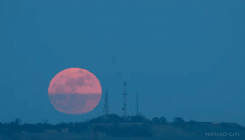 Landscape Moon Rise GIF