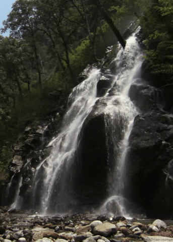 Landscape Nature Waterfalls GIF