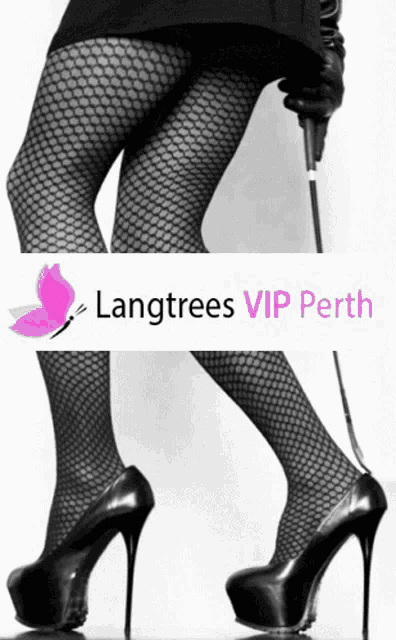 Langtrees Vip Perth Open24x7 Gif GIF