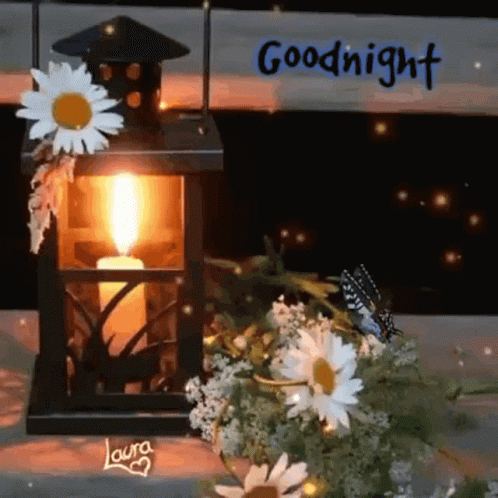 Lantern With Candle Surrounded By Daisies And Butterfly GIF
