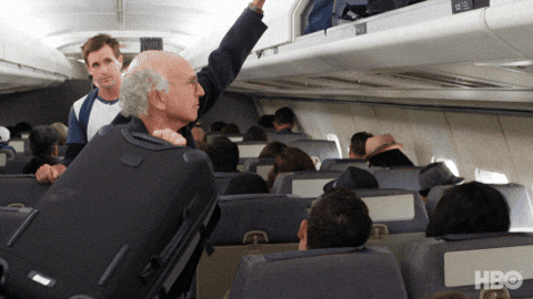 Large Bag On Flight GIF