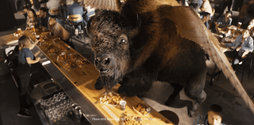 Large Bison Standing On Bar GIF