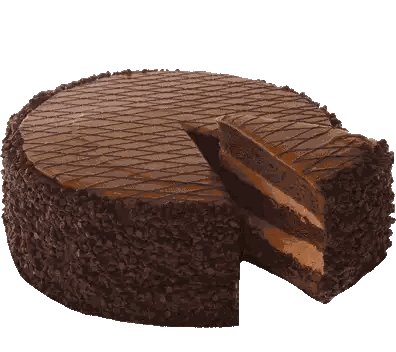 Large Chocolate Cake With Slice Removed