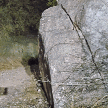Large Cracked Rock Surrounded by Grass and Trees