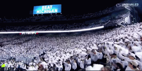 Large Crowd In Stadium Saying Beat Michigan GIF
