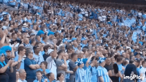 Large Crowd Watching Soccer Game GIF