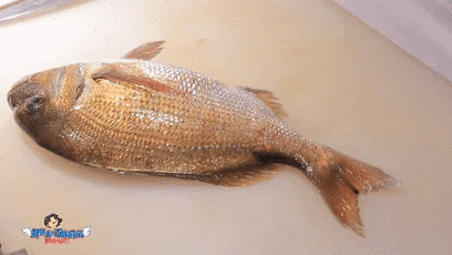 Large Fish on Cutting Board