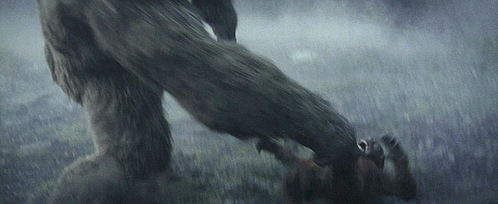 Large Furry Animal Standing On Smaller Animal GIF
