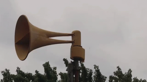 Large Horn Hanging from Pole