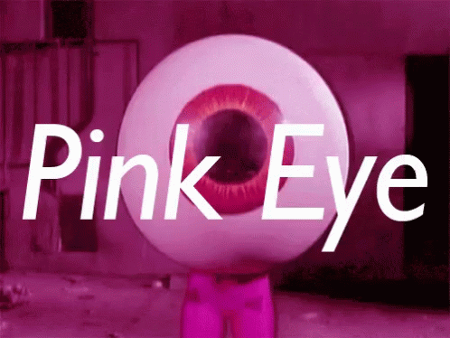 Large Pink Eye Saying Pink Eye GIF