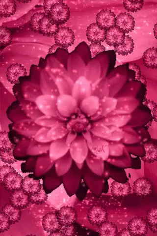 Large Pink Flower Surrounded by Smaller Flowers
