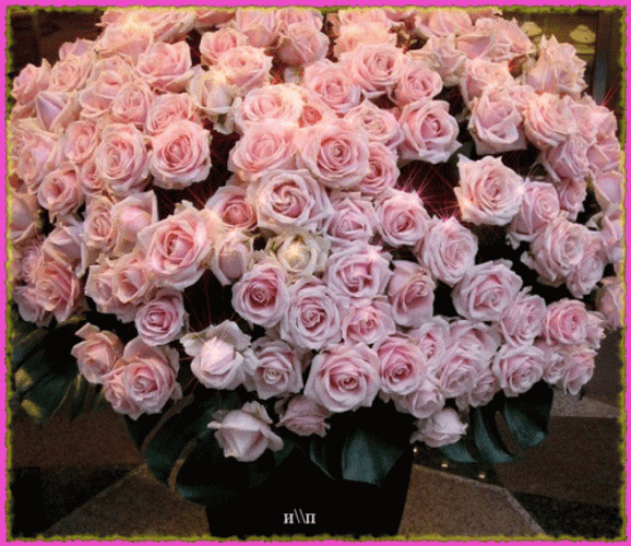 Large Pink Rose Bouquet GIF