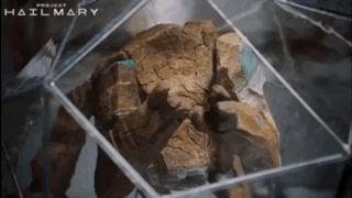 Large Rock in Clear Cube With Hailmary