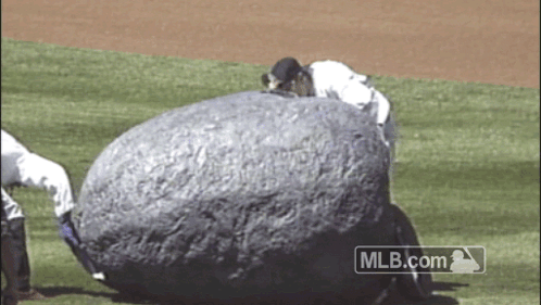 Large Rock On Baseball Field With MLB.com Logo GIF