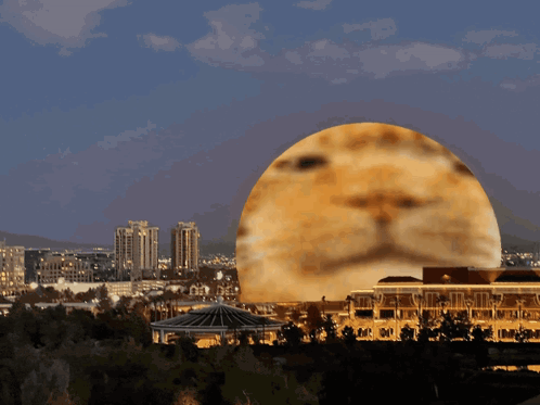 Large Spherical Face In City GIF