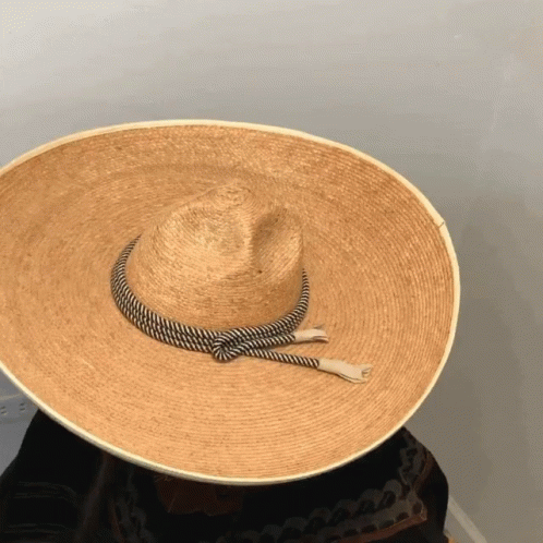 Large Straw Hat with Rope Brim