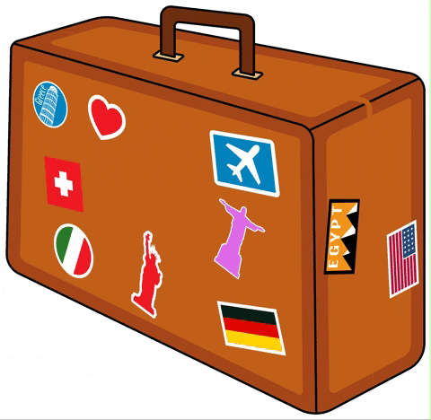 Large Suit Case GIF