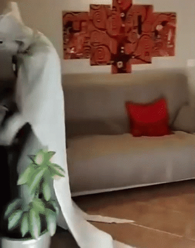 Large Toilet Paper Roll in Front of Couch