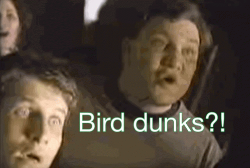 Larry Bird Dunks GIF