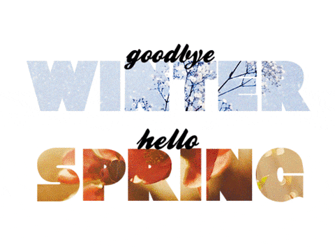 Last Day Of Winter Marks The First Day Of Spring GIF