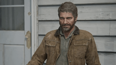 Last Of Us Facepalm Oy Vey GIF