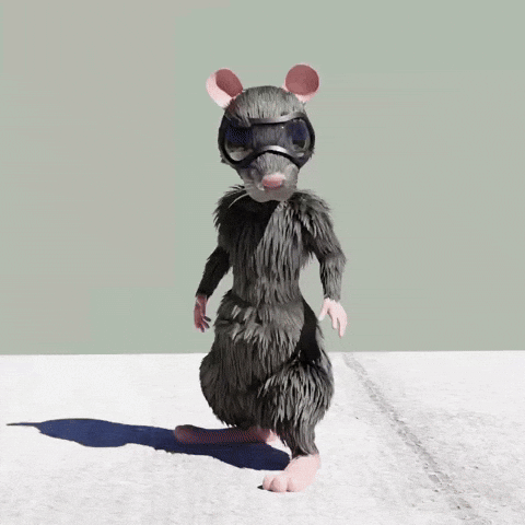 Last Standing Rat Showering GIF