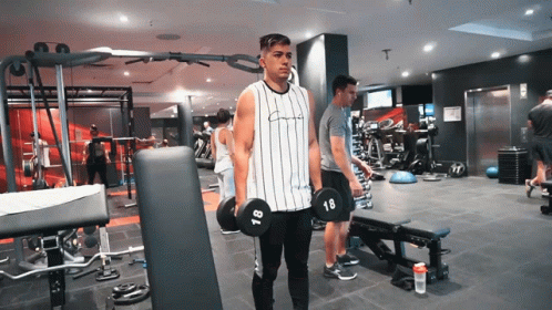 Lateral Raises Beginning Position GIF