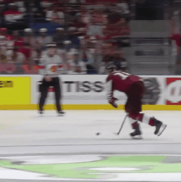 Latvian Hockey GIF