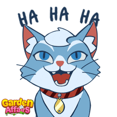 Laughing Happy Cat Meme GIF