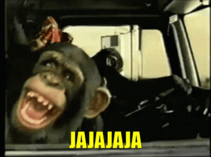 Laughing Monkey Driving Car Jajajaja Meme GIF | GIFDB.com