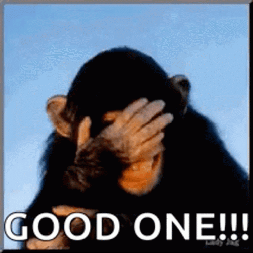 Laughing Monkey Good One GIF