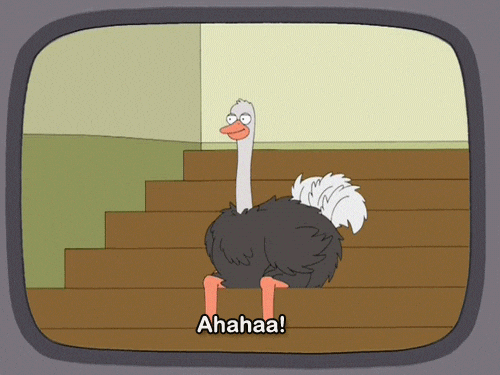 Laughing Ostrich Sitting On Staircase GIF