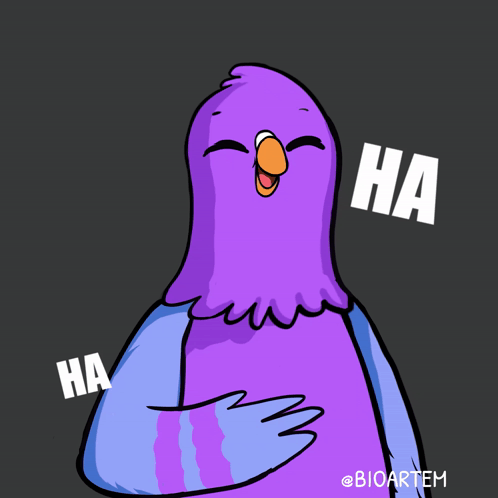 Laughing Pigeon Saying Ha Ha Ha