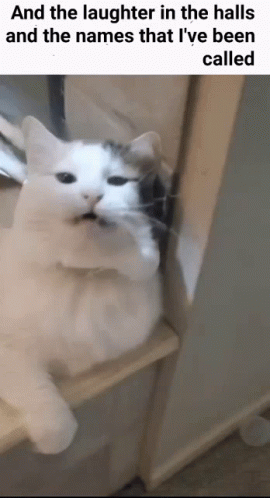 Laughter In The Halls Oh The Misery GIF