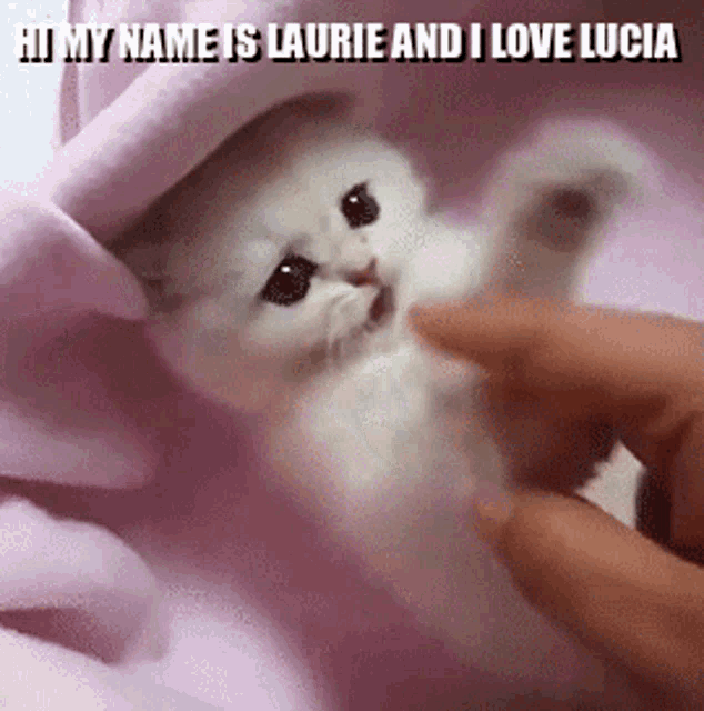 Laurie Lucia Gif GIF