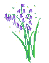Lavender Wildflowers Sticker GIF
