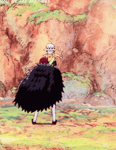 Law And Corazon One Piece GIF