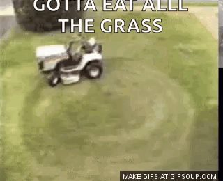 Lawn Mower Cutting Grass Gotta Eat All The Grass