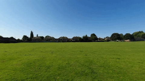 Lawn Mower In Gardening GIF